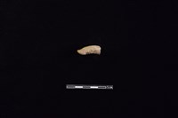 陶把藏品圖，第1張